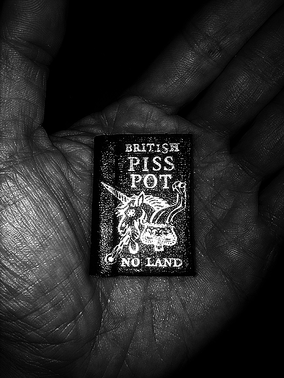 Piss Pot, Brexit, Passport, UK, Piss poor, artist, Paul Coombs, royal college of art, rca, show 2018,